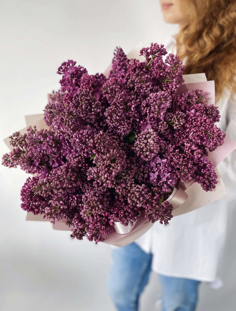 Lilac Cosmos — Choose Your Size: M, L & XL - Image 4